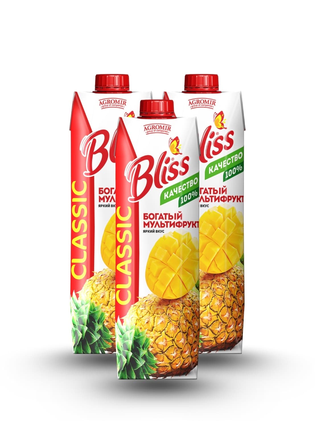 Rich Multifruit Juice “BLISS” 1 l