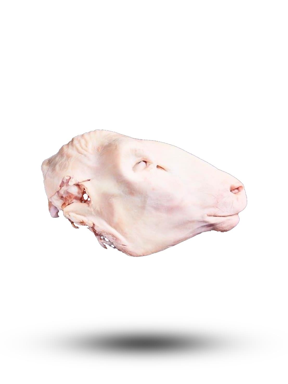 Lamb head 2 kg